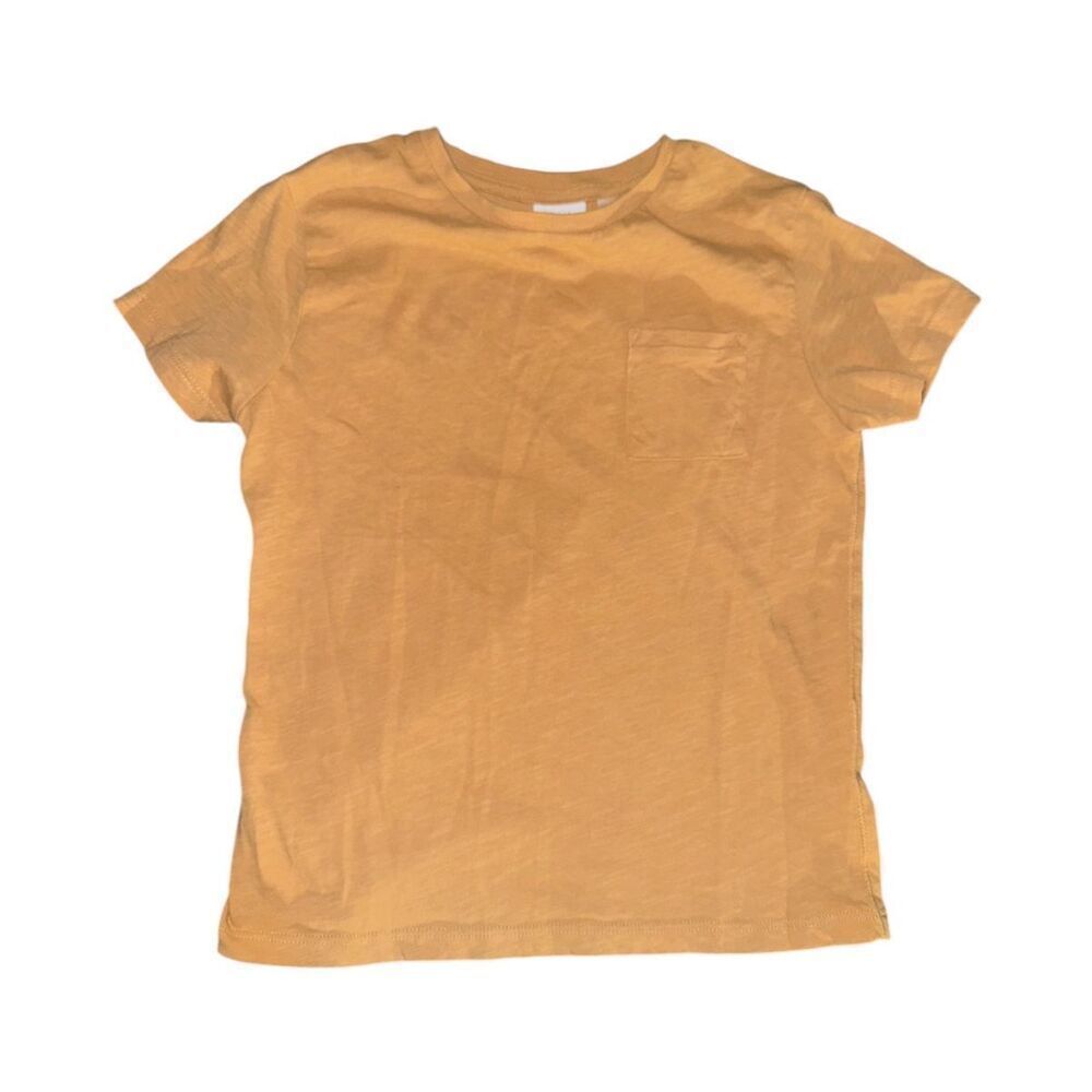 Zara Light Brown T-Shirt  (4/5)